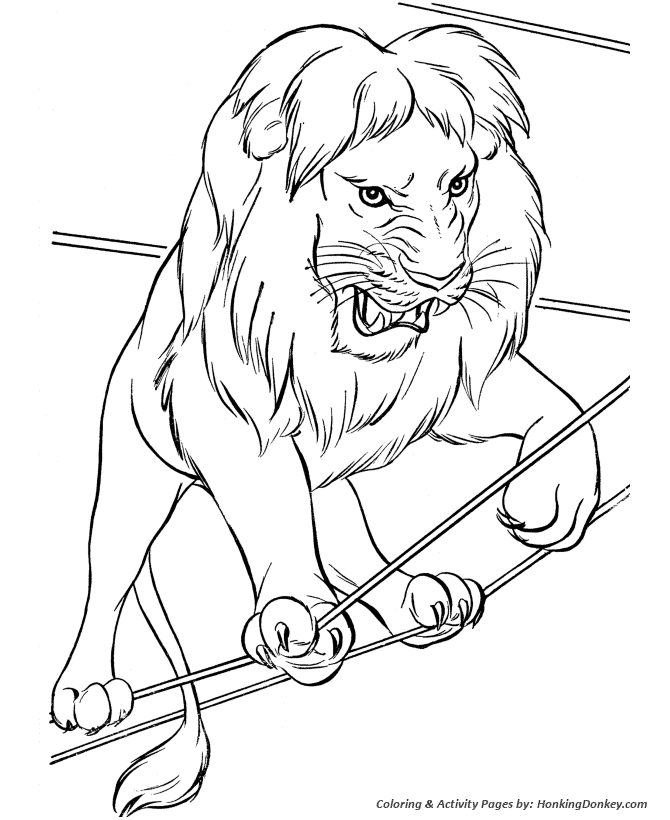 Circus Animal Coloring page | Circus lion