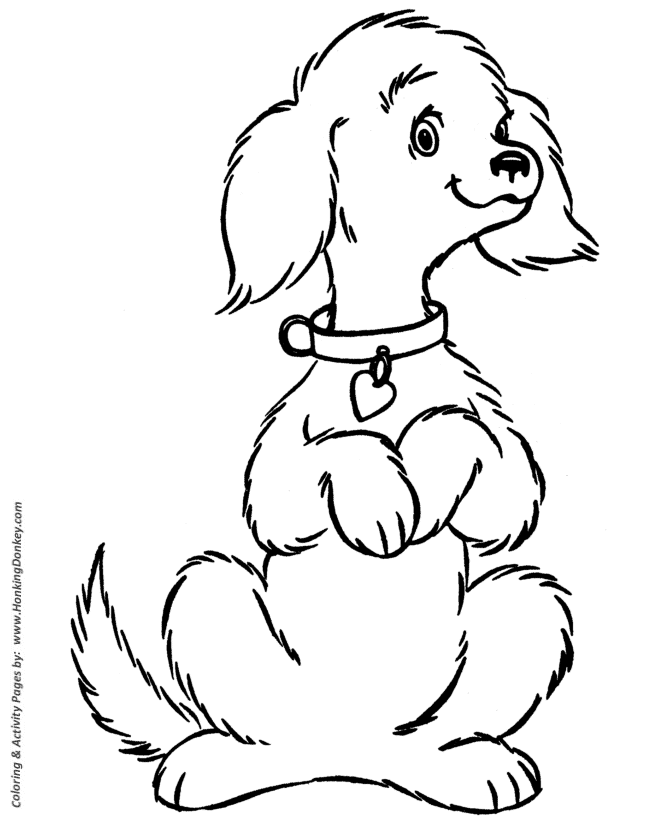 Cute pet dog - Dog Coloring page