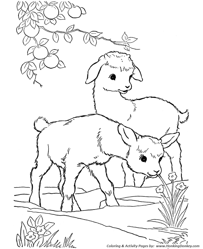 Gambar Farm Animal Coloring Pages Printable Kid Goats Page Goat Animals 