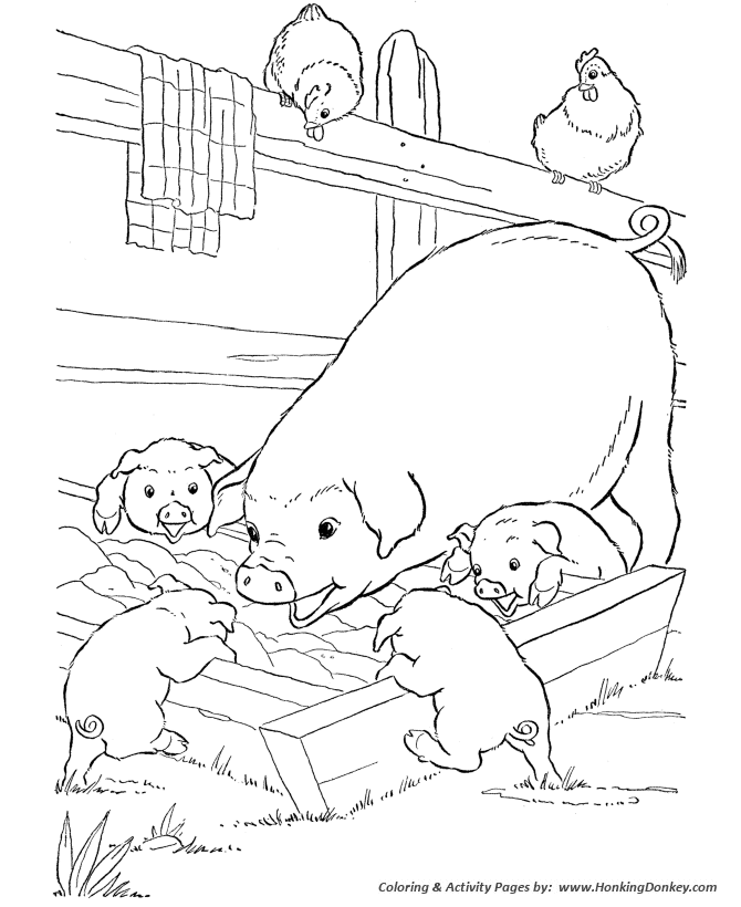 Farm animal coloring page | Pigs slop