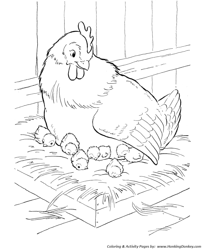 Farm animal chicken coloring page | Chicken