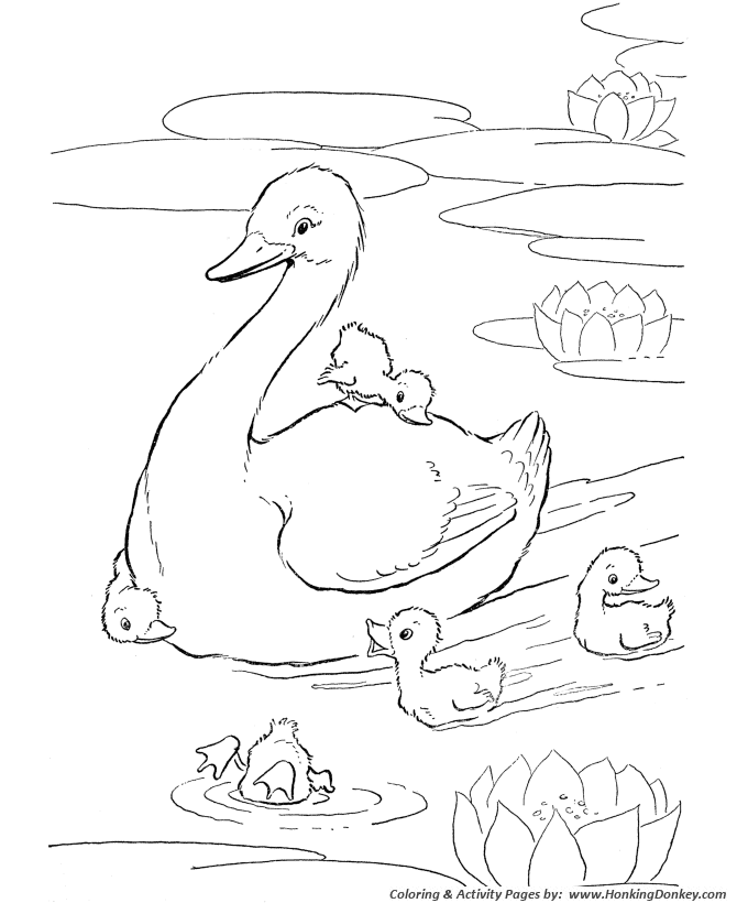 coloring pages of ponds