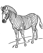 Wild Animal Coloring Pages | Wild Animals Coloring Pages and Activity