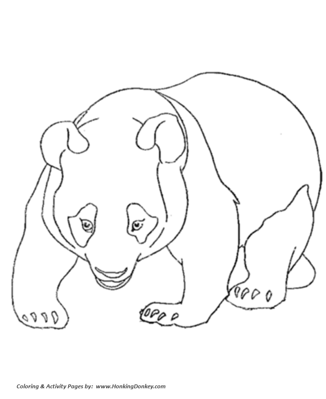 baby panda bear coloring page