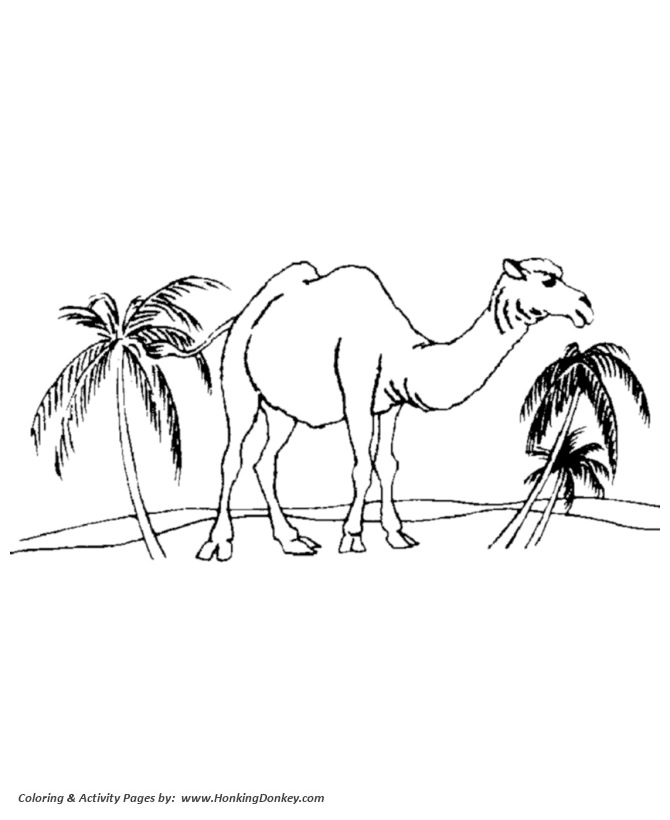 Camel Coloring