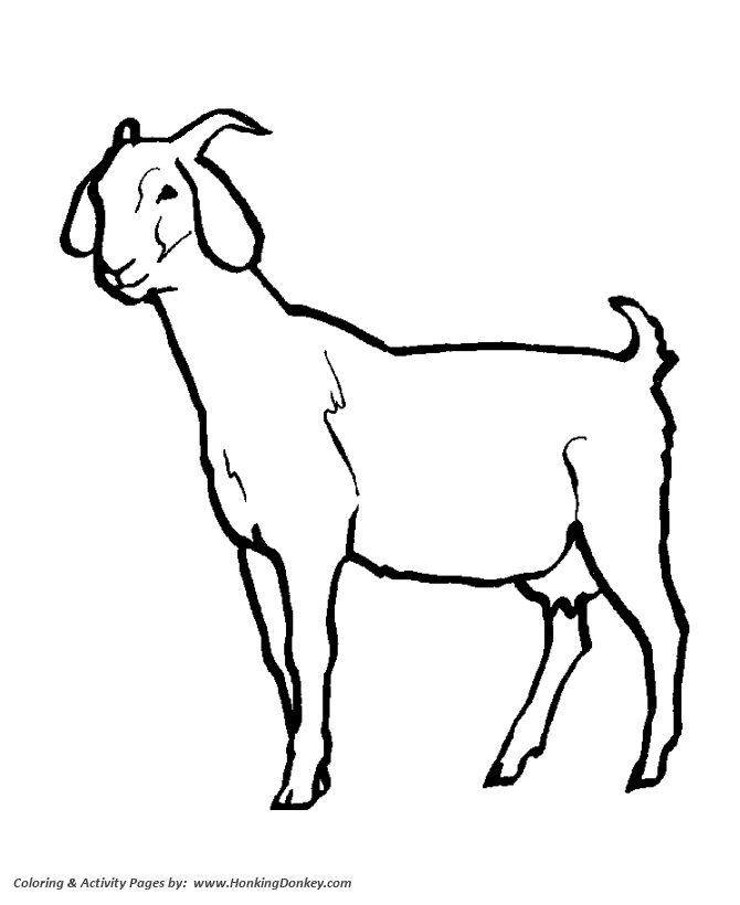 Wild animal coloring page | Female goat Coloring page