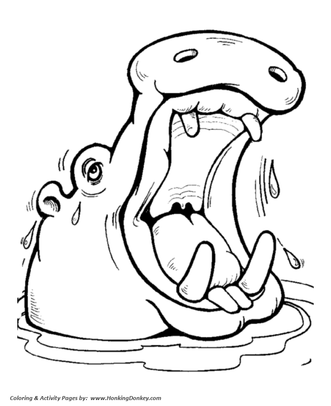 Happy Hippo Wild animal coloring page | Hippopotamus Coloring page