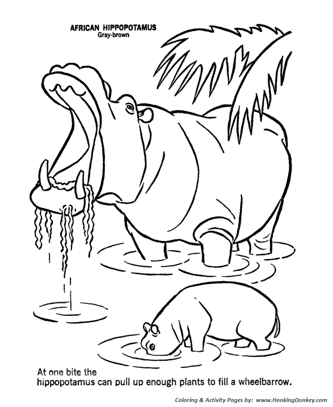 Yawning Hippo Wild animal coloring page | Hippopotamus Coloring page