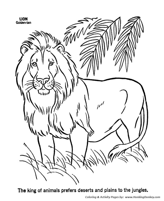 Wild Animal Coloring Pages Male Lion Coloring Page and