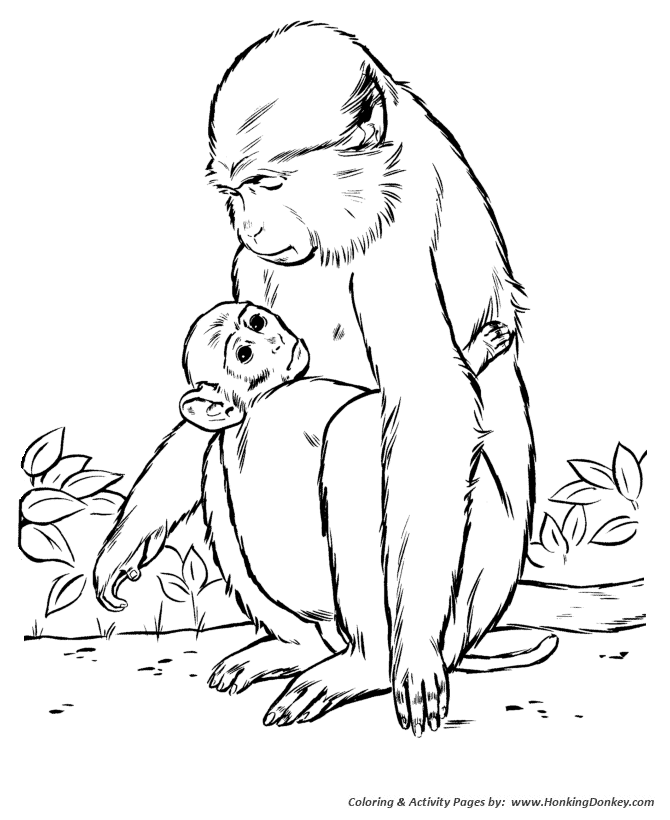 baby and mother animals coloring pages