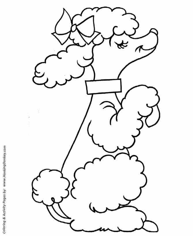 Pre-K Coloring pages | French Poodle