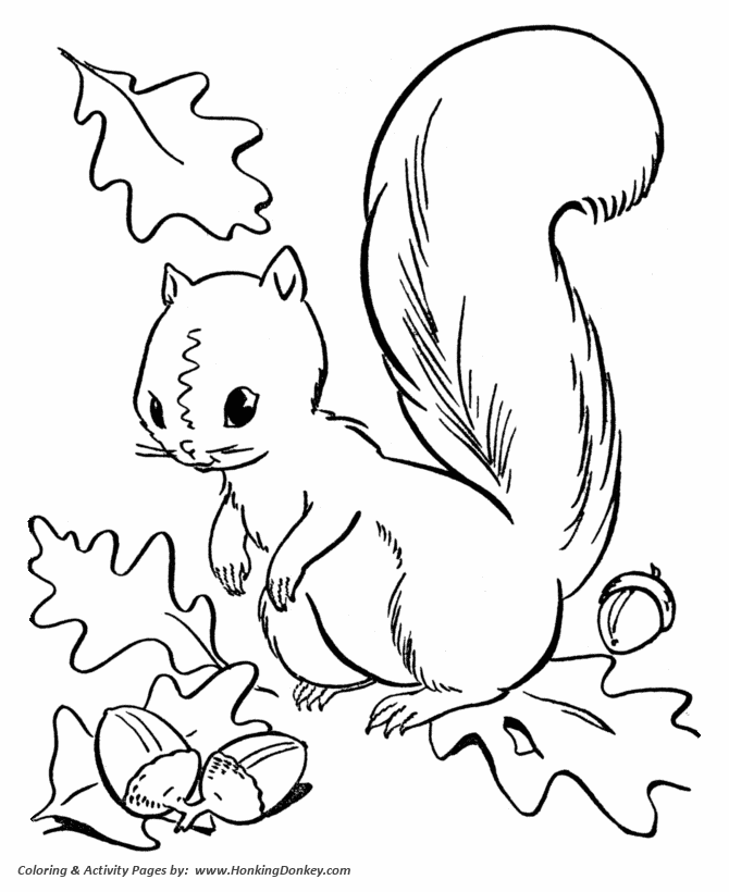 Fall Coloring Pages Squirrel Collecting Acorns Coloring